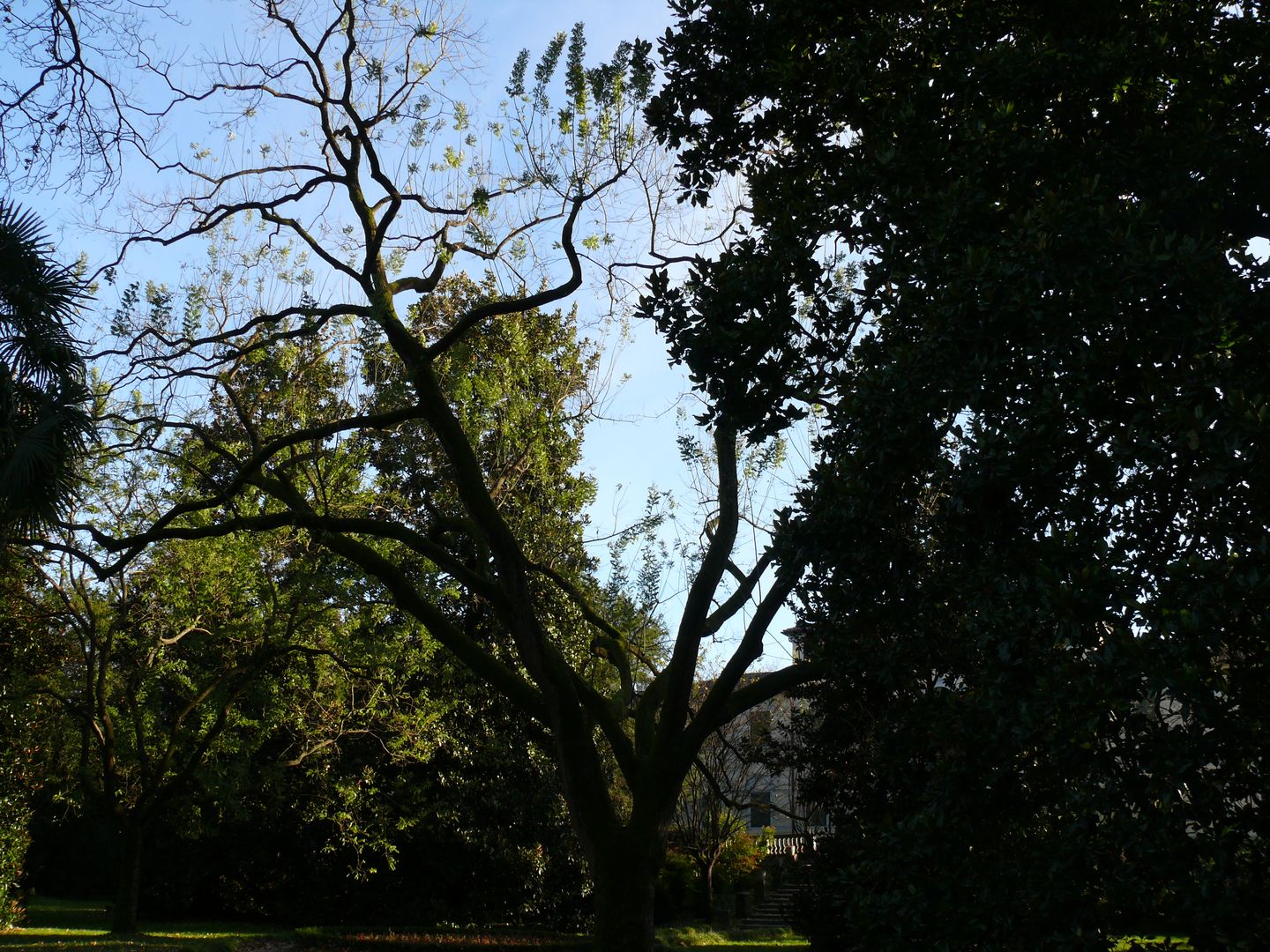 Giardino della scalinata Giardino della scalinata