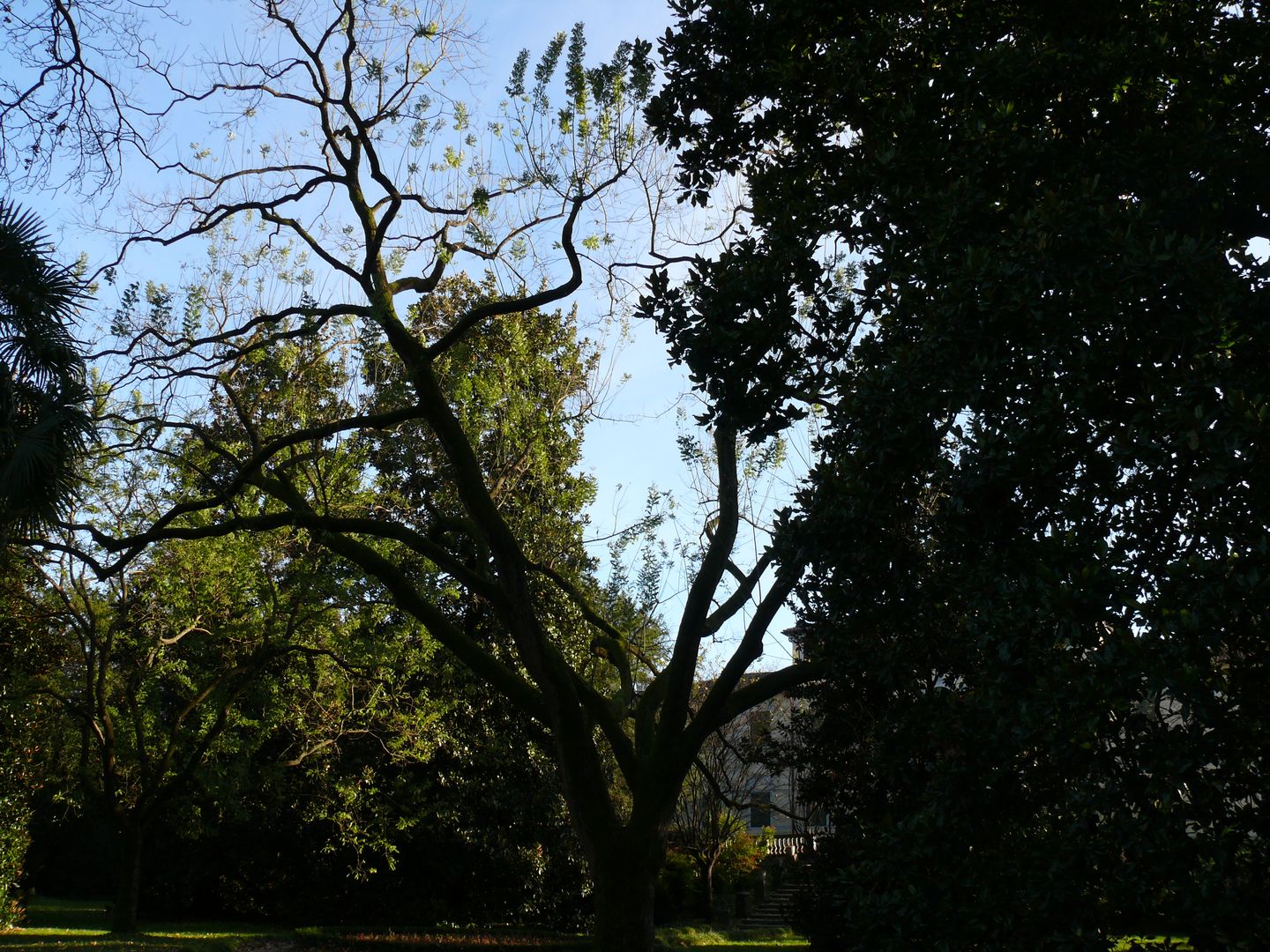 Giardino della scalinata